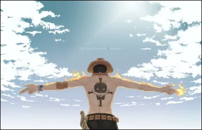 Qu'est-il inscrit sur le bras droit de Luffy ?