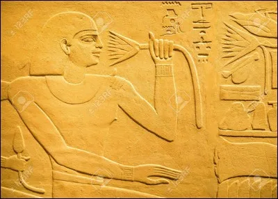 Qu'étudie Nico Robin ?