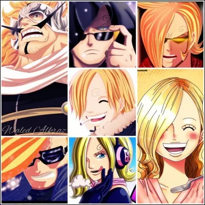 Comment s'appelle l'organisation des Vinsmoke ?