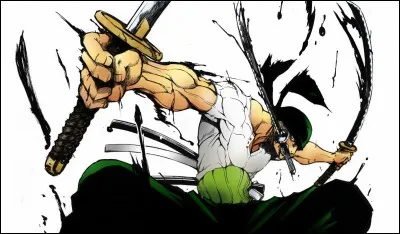 Avec qui Zoro s'est-il entraîné durant ses deux ans ?