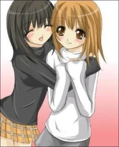 Quel chanteur aimes-tu ?