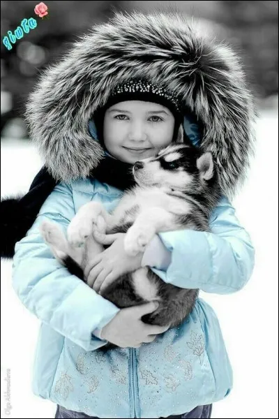 Qui chantait "Les gens du Nord ont dans le cur le soleil qu'ils n'ont pas dehors" ?