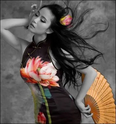 Qui a écrit "Vent d''Est, vent d'Ouest" ?