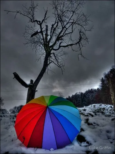 De quel secteur est le vent nommé "Mistral" ?