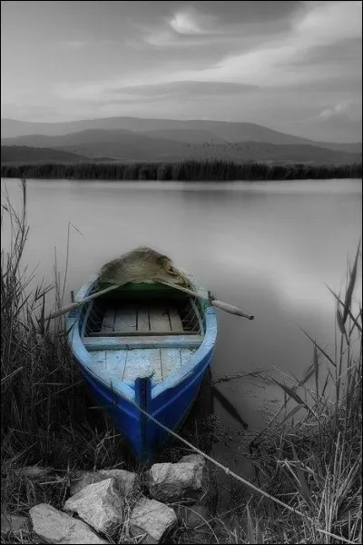 Qui chantait "Avec la mer du Nord pour dernier terrain vague" ?