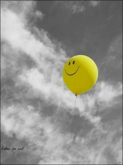 Quel est le plus haut sommet de l'hémisphère Sud ?