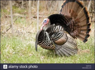 Cette pièce de théâtre est de...