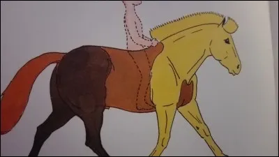 Quelle est la partie jaune ?