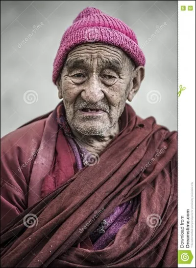 La vengeance est un plat qui se mange froid... Dans...