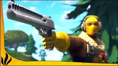 Quelle est cette arme ?