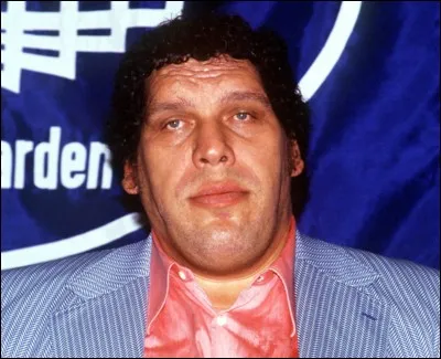 Quelle est la cause de la mort d'André The Giant ?