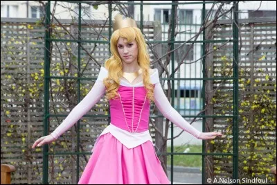 Quelle est cette princesse Disney ?