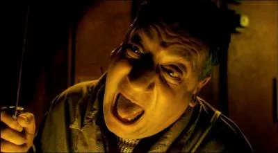 Qui a ralis l'excellent 'Delicatessen' ?