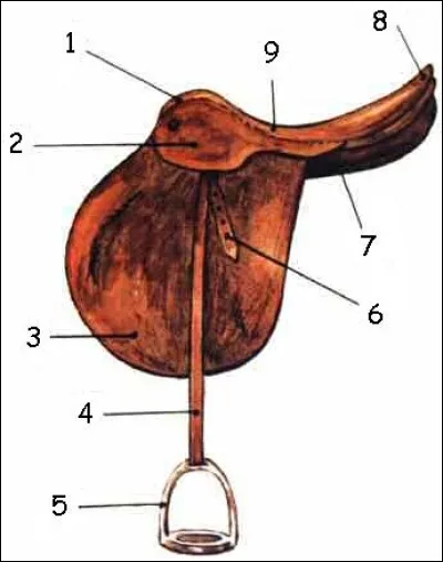 Quelle est la partie n°4 de cette selle ?