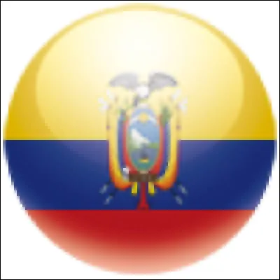 Ce drapeau est celui du Venezuela.