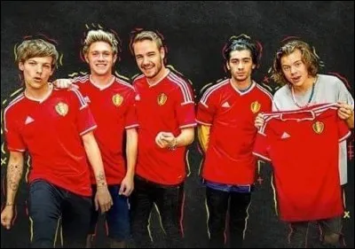 Pendant combien de temps est-il resté avec les « One Direction »  ?