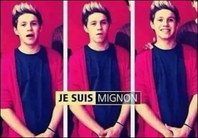 De quel sport est-il très fan ?