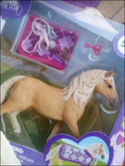 Quelle est la race de ce cheval ?