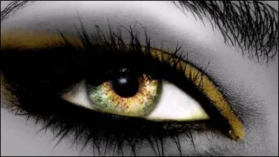 On les remarque dans...