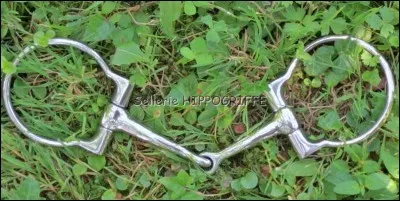 Quel est le nom de cette partie du filet ?