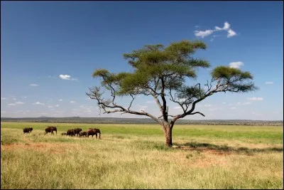 Dans quel pays a été prise cette photo ?