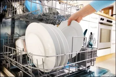 On met des fleurs dans le lave-vaisselle pour qu'elles poussent plus vite.