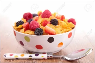 Sur ce bol on peut voir des flocons d'avoine.