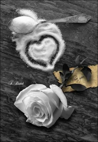 Qui chantait "Ma plus belle histoire d'amour, c'est vous" ?