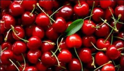 Quel groupe de rock français les a chantées ?