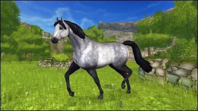 Sur Star Stable, quel est le niveau maximum ?