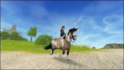 Quel est ce cheval ?