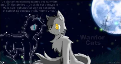 Plume Grise a-t-il eu une demi-sur ?