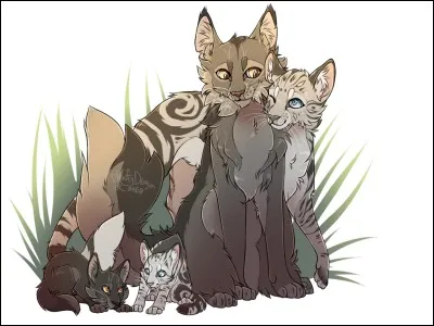 Combien de chatons eut Plume Grise ?