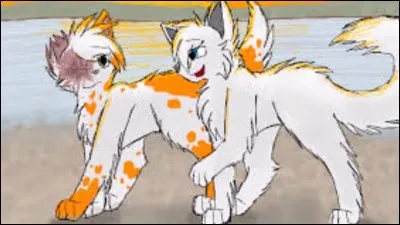 Coeur Blanc n'aime pas aller patrouiller près du lac