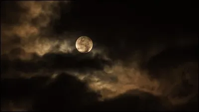 Que faites-vous la nuit ?