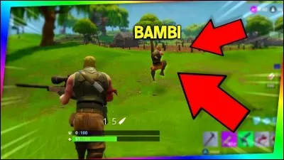 Quel(s) skin(s) est/sont le moins cher ?