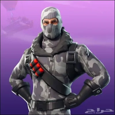 Combien y a-t-il de skins masculins ?