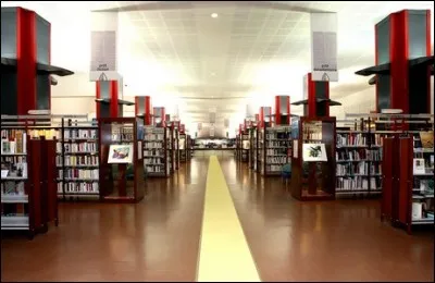 Comment s'appelle la structure habitable de la biblioth&egrave;que Louis-Nuc&eacute;ra de Nice ?