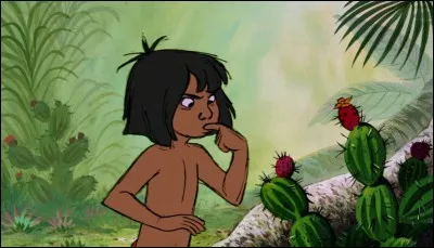 Dans quelle langue devrait s'exprimer Mowgli ?