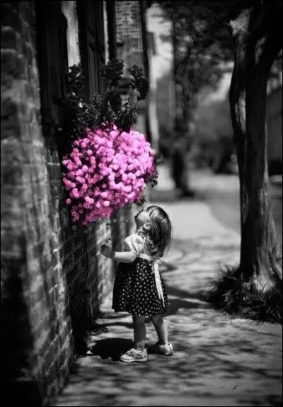 Qui est l'interprète de "Petite fille de ma rue, tu n'as jamais vu tous les bateaux, tous les oiseaux, tous les soleils" ?