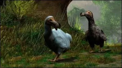 Le "dodo" n'est qu'une invention de Jules Verne.