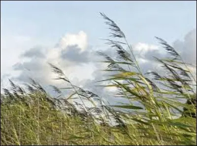 L'air chaud prend plus de place que l'air froid.