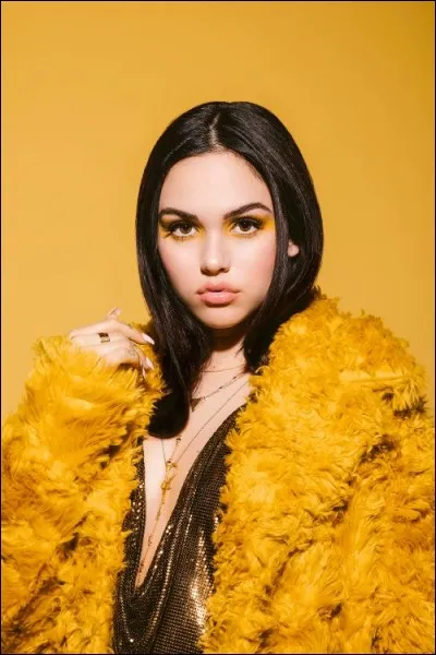 Parmi ces propositions, quels genres de musique fait-elle ?