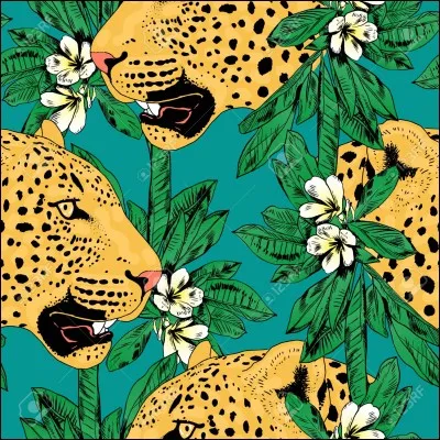 Quel film réunit Claude Brasseur et Dominique Lavanant ?