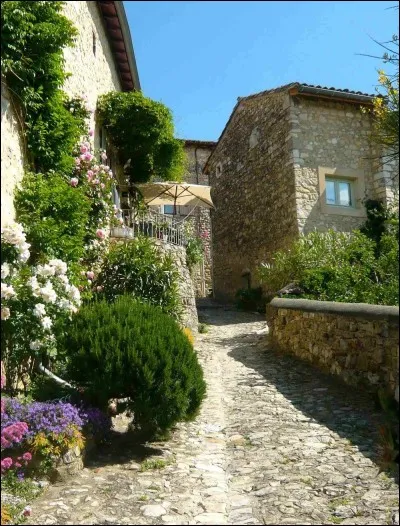 À 20 km au nord de Montélimar c'est un village perché aux ruelles sinueuses, aux belles façades de pierre, entouré de remparts.