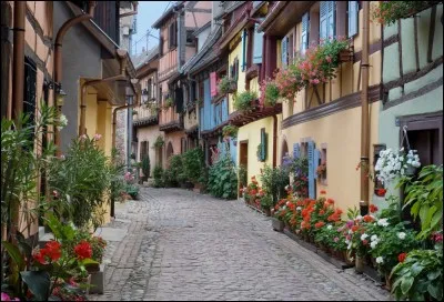 C'est un village rond aux maisons à colombages colorées, garnies de fleurs, le joyau de la Route des Vins.