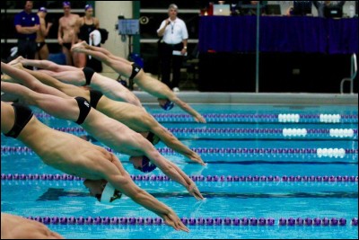 En natation, quelle est la nage la plus choisie par les concurrents ?