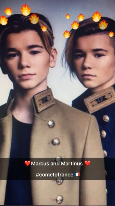 Pendant leur concert, à quelle chanson invitent-ils une fille sur scène ?