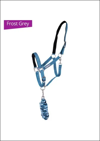 Comment s'appelle ce harnachement ?