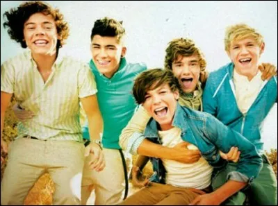 Lequel des membres du groupe est irlandais ?